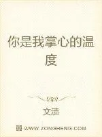 《你是我掌心的温度》小说封面