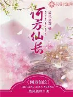《何方仙长》小说封面
