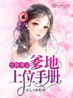 《空降萌宝：爹地上位手册》小说封面