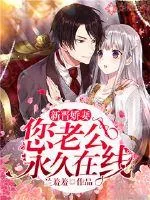 《新晋娇妻：您老公永久在线》小说封面