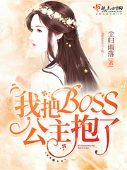 《我把BOSS公主抱了》小说封面
