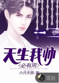 《天生我帅必有用》小说封面