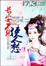 《长安不见使人愁》小说封面