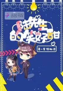 《陆先生的笑好甜》小说封面