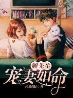 《顾先生，宠妻如命》小说封面