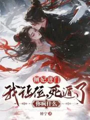 《侧妃进门我让位，死遁了你疯什么》小说封面
