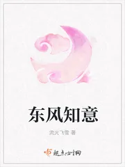 《东风知意》小说封面