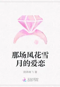 《那场风花雪月的爱恋》小说封面