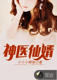 《神医仙婿》小说封面