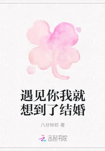 《遇见你我就想到了结婚》小说封面