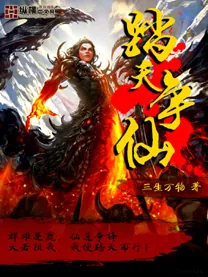 《踏天争仙》小说封面