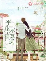 《平凡幸福不算远》小说封面