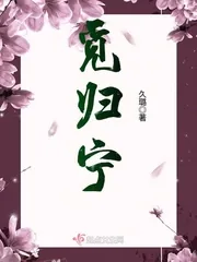《觅归宁》小说封面