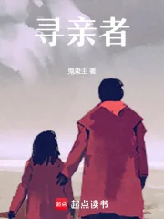 《寻亲者》小说封面