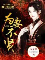 《为妻不贤》小说封面