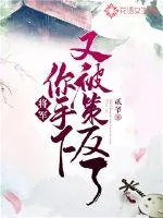 《将军，你手下又被策反了！》小说封面