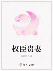 《权臣贵妻》小说封面