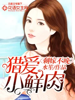 《剩嫁不晚：猎爱小鲜肉》小说封面
