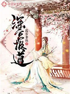 《深宫报道》小说封面