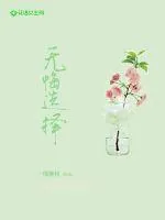 《无悔选择》小说封面