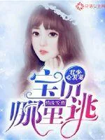 《君少心尖宠:宝贝哪里跑》小说封面