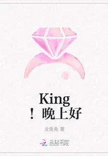 《King!晚上好》小说封面