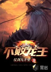 《不败龙王》小说封面