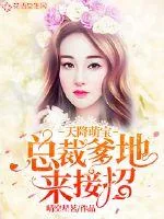 《天降萌宝：总裁爹地来接招》小说封面
