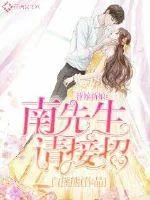 《替嫁新娘：南先生，请接招》小说封面