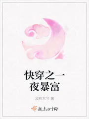 《快穿之一夜暴富》小说封面