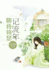《聊将锦瑟记流年》小说封面