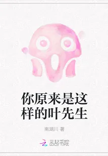 《你原来是这样的叶先生》小说封面
