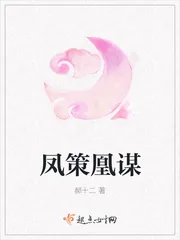 《凤策凰谋》小说封面
