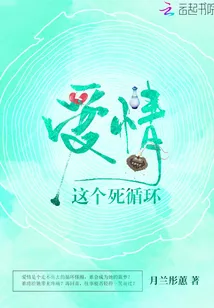 《爱情这个死循环》小说封面