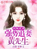 《软妹逆袭：黄先生强势追妻》小说封面
