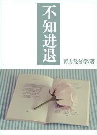 《不知进退》小说封面