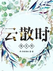 《云散时遇见你》小说封面
