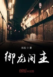 《御龙阁主》小说封面