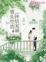 《贺先生的钟情宠溺》小说封面