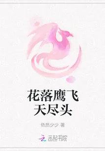 《花落鹰飞天尽头》小说封面