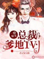 《一胎双宝：总裁爹地1V1》小说封面