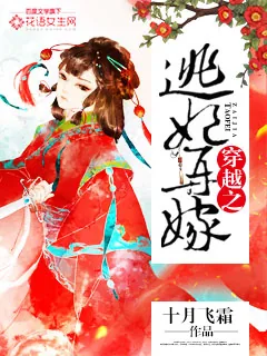 《穿越之逃妃再嫁》小说封面