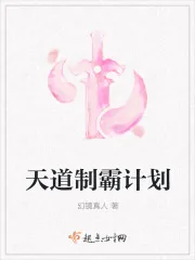 《天道制霸计划》小说封面