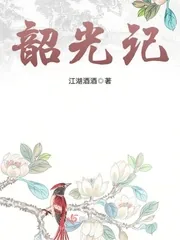 《韶光记》小说封面