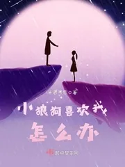 《小狼狗喜欢我怎么办》小说封面