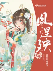 《凤涅殃》小说封面