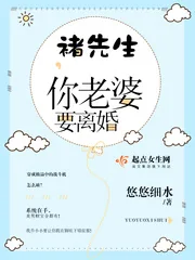 《褚先生，你老婆要离婚》小说封面