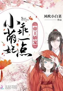 《帝王娇宠：小萌妃，乖一点》小说封面