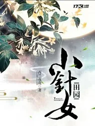 《田园小针女》小说封面