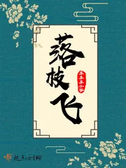 《落枝飞》小说封面